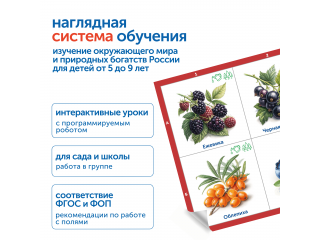 Модуль "Овощи, фрукты, ягоды России"