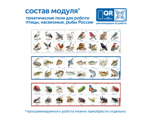 Модуль "Птицы, рыбы, насекомые России"