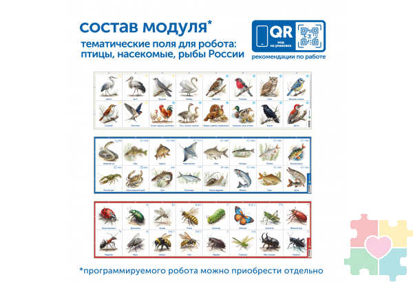 Модуль "Птицы, рыбы, насекомые России"