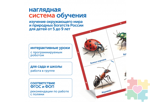 Модуль "Птицы, рыбы, насекомые России"