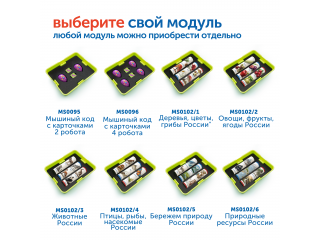 Модуль "Птицы, рыбы, насекомые России"