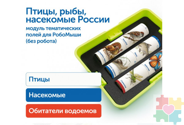 Модуль "Птицы, рыбы, насекомые России"