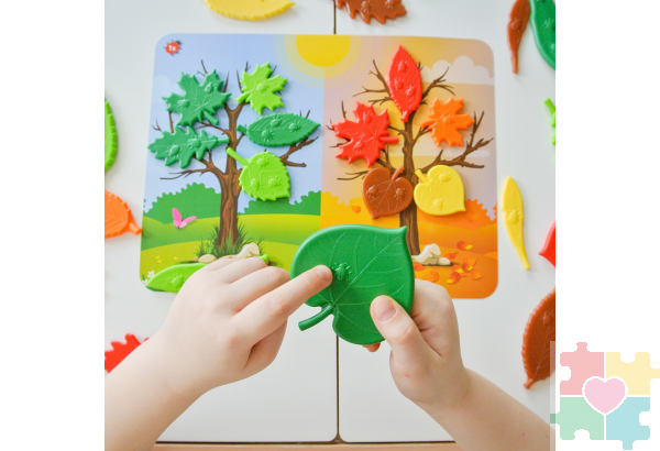 Модуль «Сенсорное развитие. ОВЗ»