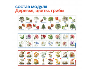 Природные богатства России с РобоМышью (с системой хранения)