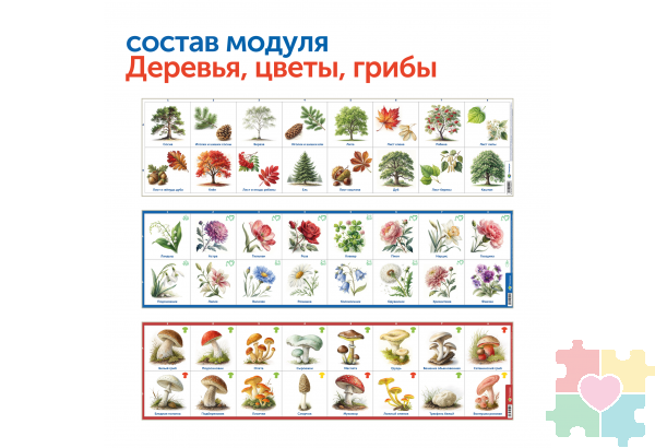 Природные богатства России с РобоМышью (с системой хранения)