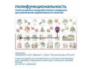 Природные богатства России с РобоМышью (с системой хранения)