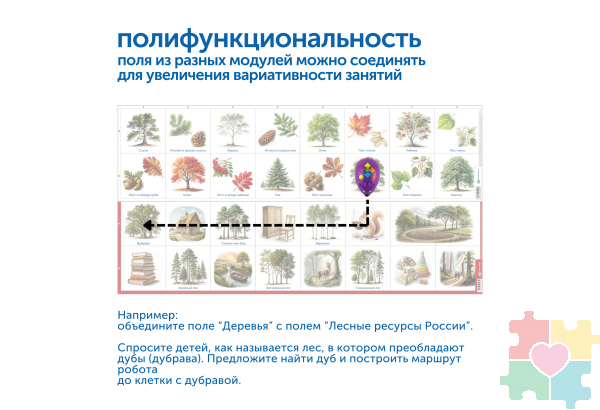Природные богатства России с РобоМышью (с системой хранения)