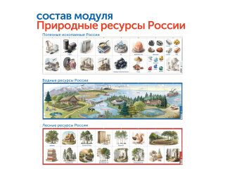 Природные богатства России с РобоМышью (с системой хранения)