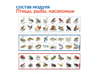 Природные богатства России с РобоМышью (с системой хранения)