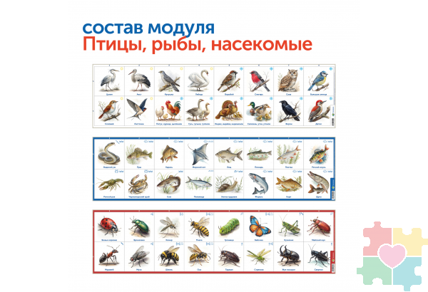 Природные богатства России с РобоМышью (с системой хранения)