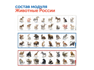 Природные богатства России с РобоМышью (с системой хранения)