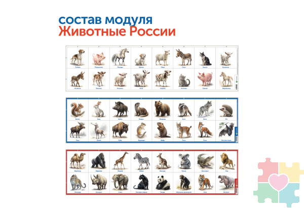 Природные богатства России с РобоМышью (с системой хранения)