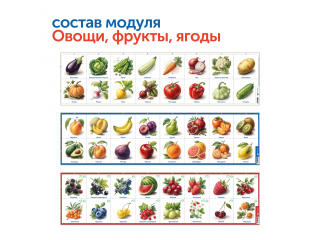 Природные богатства России с РобоМышью (с системой хранения)