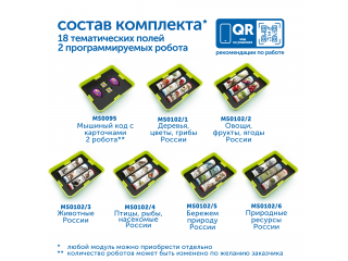 Природные богатства России с РобоМышью (с системой хранения)